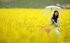 希崎杰西卡 种子